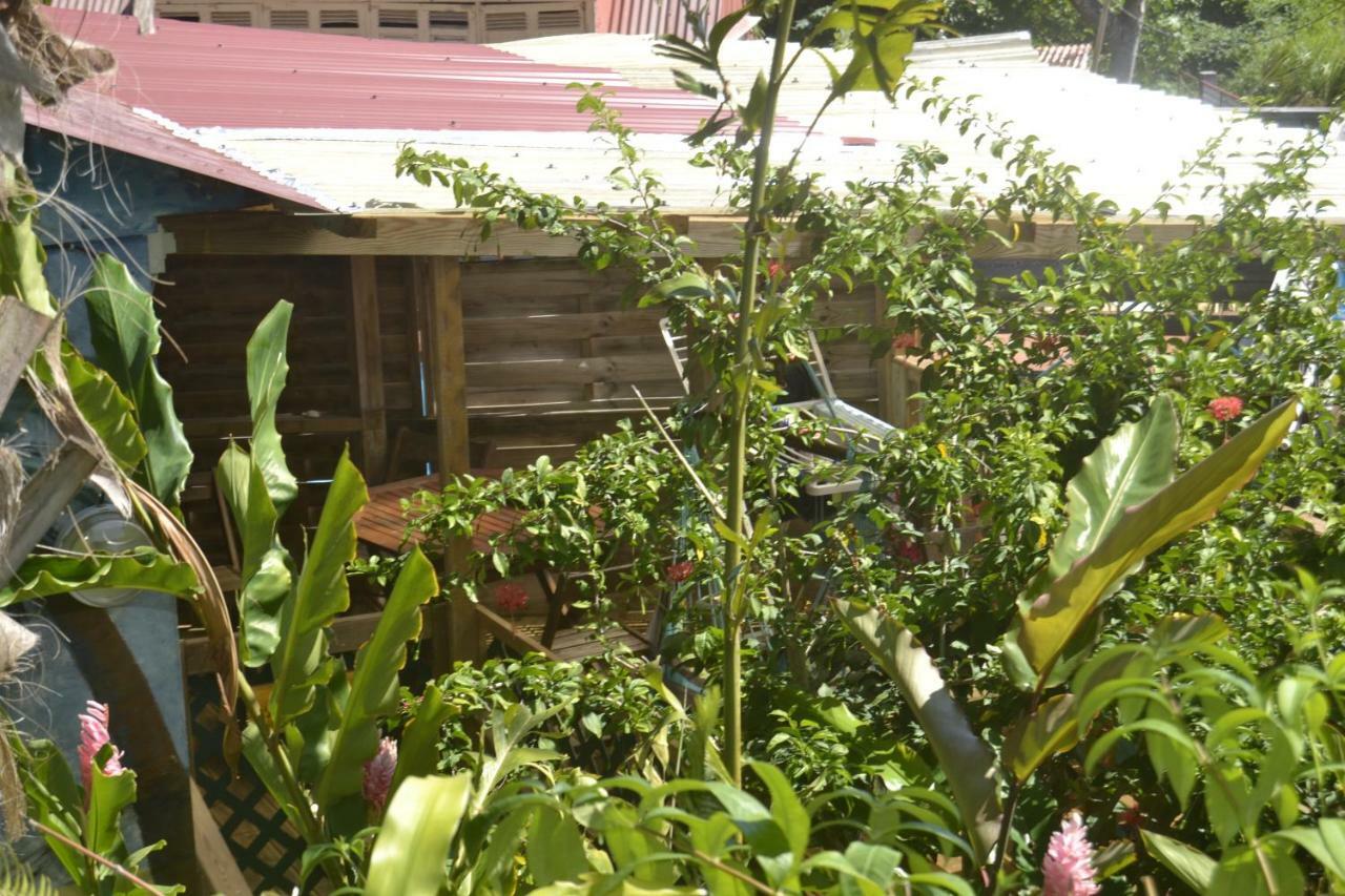 An Eol Caraibes Villa Trois-Rivieres Luaran gambar