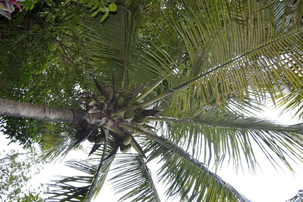 An Eol Caraibes Villa Trois-Rivieres Luaran gambar